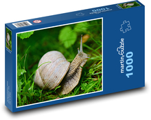 Ślimak - zwierzę, trawa Puzzle 1000 elementów - 60x46 cm