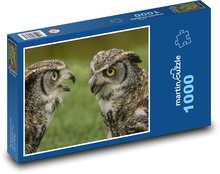 Sovy - ptactvo, zvířata Puzzle 1000 dílků - 60 x 46 cm