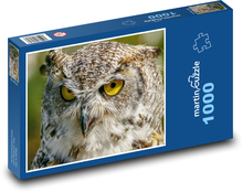 Eule - Greifvogel, Tier Puzzle 1000 Teile - 60 x 46 cm