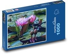 Lilie wodne - staw, kwiaty Puzzle 1000 elementów - 60x46 cm