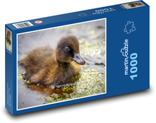 Kaczka - młode, ptak Puzzle 1000 elementów - 60x46 cm