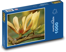 Magnolia - flower, flower Puzzle 1000 pieces - 60 x 46 cm 