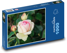 Roses - flower, garden Puzzle 1000 pieces - 60 x 46 cm 