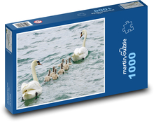 Swan rodina - vodné vtáctvo, kurčatá Puzzle 1000 dielikov - 60 x 46 cm 