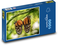 Motýle - hmyz, párovanie Puzzle 1000 dielikov - 60 x 46 cm 