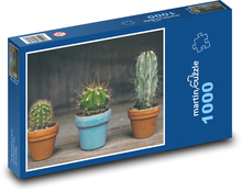 Kaktusy - pokojové rostliny, pichlavý Puzzle 1000 dílků - 60 x 46 cm