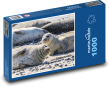 Tuleň - zvíře, pláž Puzzle 1000 dílků - 60 x 46 cm