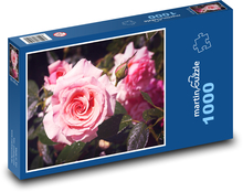 Ruža - ružový kvet, kvet Puzzle 1000 dielikov - 60 x 46 cm 