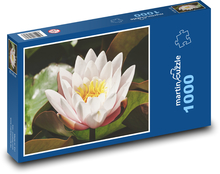 Seerose - Blume, Wasser Puzzle 1000 Teile - 60 x 46 cm