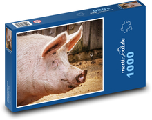 Prasa - farma, zviera Puzzle 1000 dielikov - 60 x 46 cm 