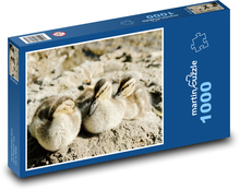 Ducklings - ducks, birds Puzzle 1000 pieces - 60 x 46 cm 