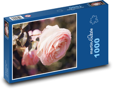 Ruže - kvet, záhrada Puzzle 1000 dielikov - 60 x 46 cm 