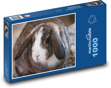 Beraní králík - uši, zvíře Puzzle 1000 dílků - 60 x 46 cm