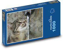 Mačka - voda, smäd Puzzle 1000 dielikov - 60 x 46 cm 