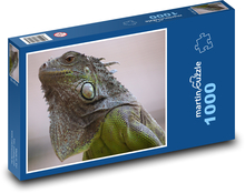Leguan - Eidechse, Reptil Puzzle 1000 Teile - 60 x 46 cm