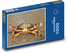 Krab - pláž, mäkkýše Puzzle 1000 dielikov - 60 x 46 cm 