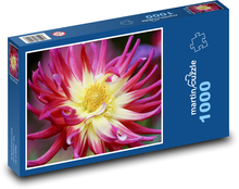 Jiřina - autumn flower, garden Puzzle 1000 pieces - 60 x 46 cm 