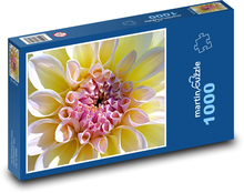 White dahlias - garden flower, flower Puzzle 1000 pieces - 60 x 46 cm 