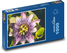 Passionsblume - lila Blume, Pflanze Puzzle 1000 Teile - 60 x 46 cm