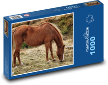 Brązowy koń - zwierzę, natura Puzzle 1000 elementów - 60x46 cm
