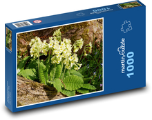 Petrklíč - yellow flowers, flower Puzzle 1000 pieces - 60 x 46 cm 