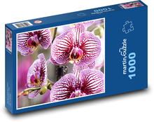 Orchidej - růžový květ, rostlina Puzzle 1000 - 60x46 cm