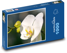 Weiße Orchidee - Blume, Pflanze Puzzle 1000 Teile - 60 x 46 cm