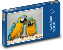 Ara parrot - birds, animals Puzzle 1000 pieces - 60 x 46 cm