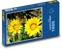 Letní květy - gazánie, zahrada Puzzle 1000 dílků - 60 x 46 cm