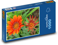 Pomarańczowa gazania - kwiat, ogród Puzzle 1000 elementów - 60x46 cm