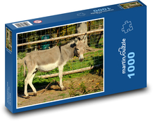 Osel - zvíře, savec Puzzle 1000 dílků - 60 x 46 cm