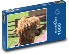 Lama - zvíře, zoo Puzzle 1000 dílků - 60 x 46 cm