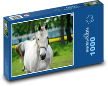 Grey horse - animal, farm Puzzle 1000 pieces - 60 x 46 cm 