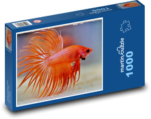 Aquarienfische - betta warrior, tier Puzzle 1000 Teile - 60 x 46 cm