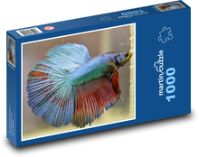 Betta - ryby, akvárium Puzzle 1000 dielikov - 60 x 46 cm 