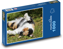 Kočka - mazlíček, zvíře Puzzle 1000 dílků - 60 x 46 cm
