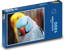 Papuga - ptak, zwierzę Puzzle 1000 elementów - 60x46 cm