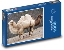 Velbloud - safari, zvíře Puzzle 1000 dílků - 60 x 46 cm
