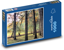 Les - stromy, lesná cesta Puzzle 1000 dielikov - 60 x 46 cm 