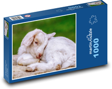 Goat - lamb, cub Puzzle 1000 pieces - 60 x 46 cm 