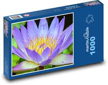 Water lily - flower, flower Puzzle 1000 pieces - 60 x 46 cm 