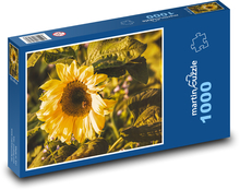 Slnečnica - žltý kvet, okvetné lístky Puzzle 1000 dielikov - 60 x 46 cm 