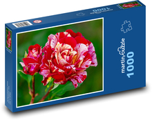 Růže - květ, květina Puzzle 1000 dílků - 60 x 46 cm