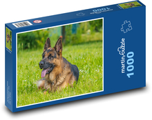 Německý ovčák - pes, louka Puzzle 1000 dílků - 60 x 46 cm