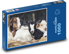 Ziegen - Jungtiere, Tiere Puzzle 1000 Teile - 60 x 46 cm