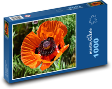 Mak - kvet, rastlina Puzzle 1000 dielikov - 60 x 46 cm 