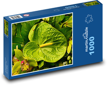 Anthurium - kwiat, roślina Puzzle 1000 elementów - 60x46 cm