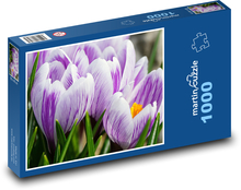 Krokusy - kwiaty, ogród Puzzle 1000 elementów - 60x46 cm