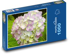 Hortensja kwiatowa - roślina, kwiat Puzzle 1000 elementów - 60x46 cm