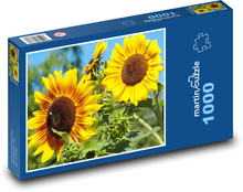 Slunečnice - žluté květiny, léto Puzzle 1000 dílků - 60 x 46 cm